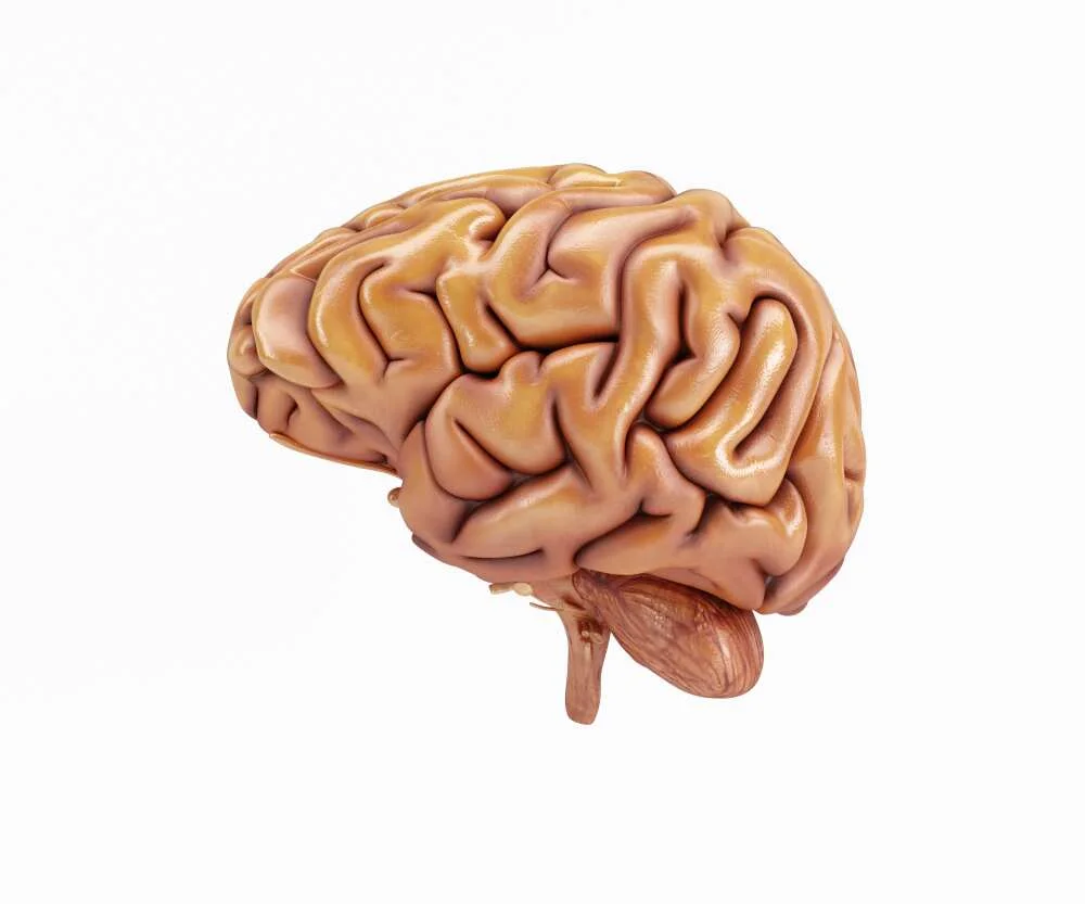 World Brain Tumor Day